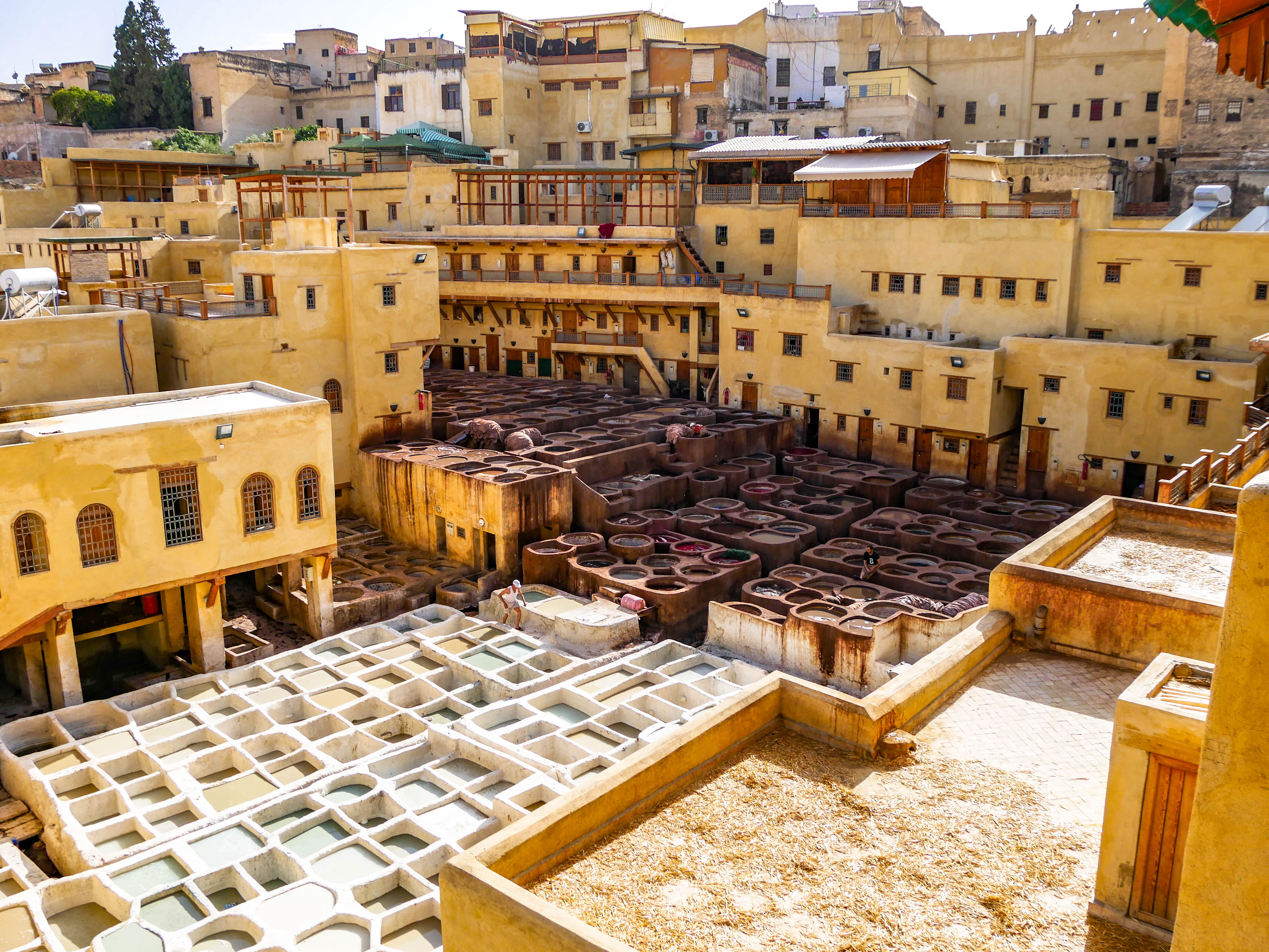Tannery in Fes, Morocco