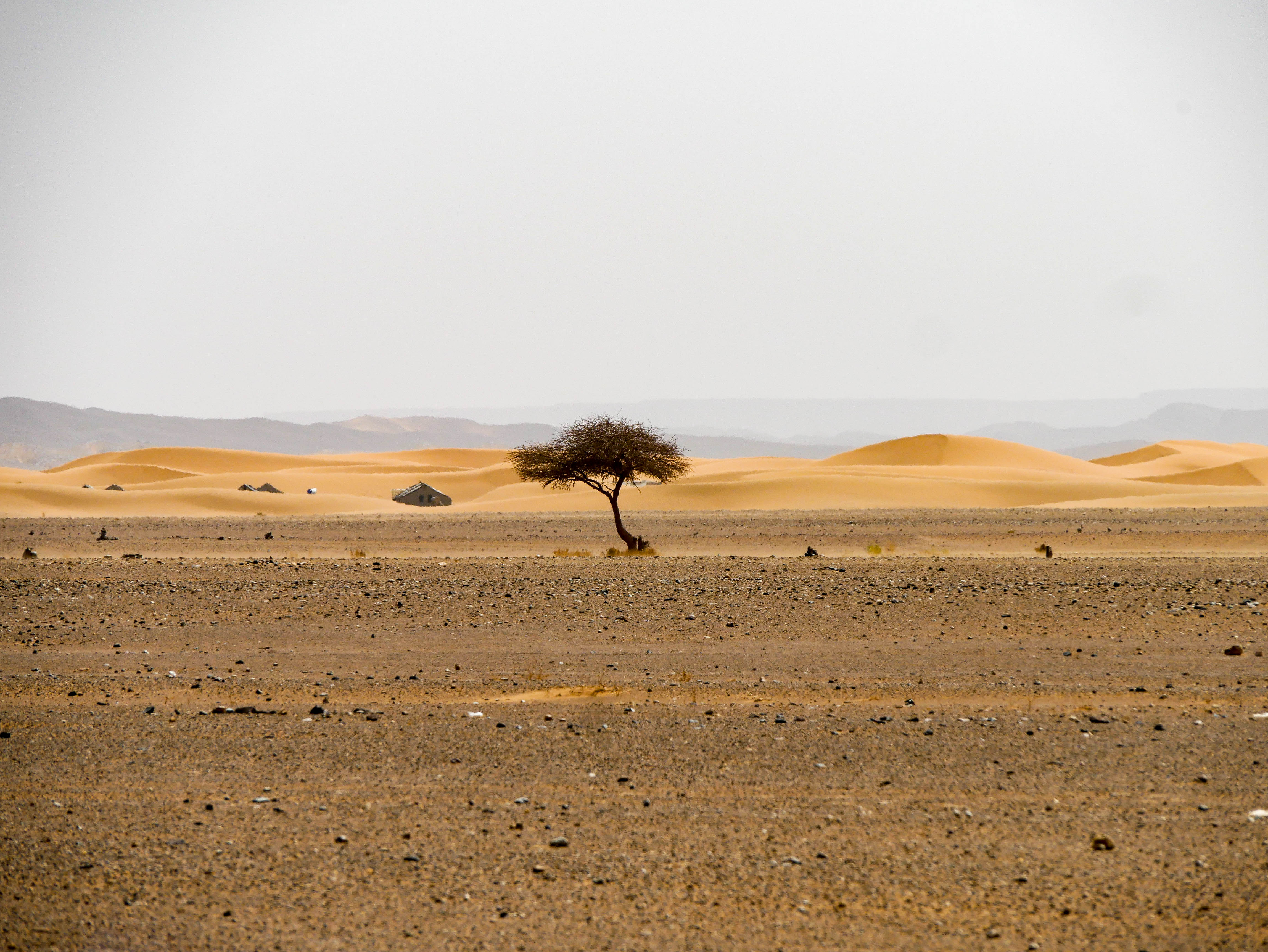 Morocco Sahara Desert with Algeria in the distance