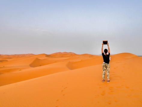 Sahara Desert Biolite Solar Panel