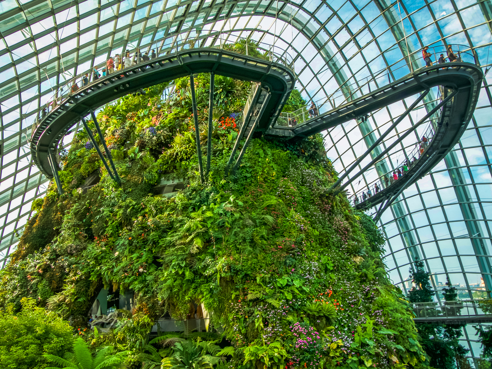 Cloud Forest in Gardens by the Bay in Singapore