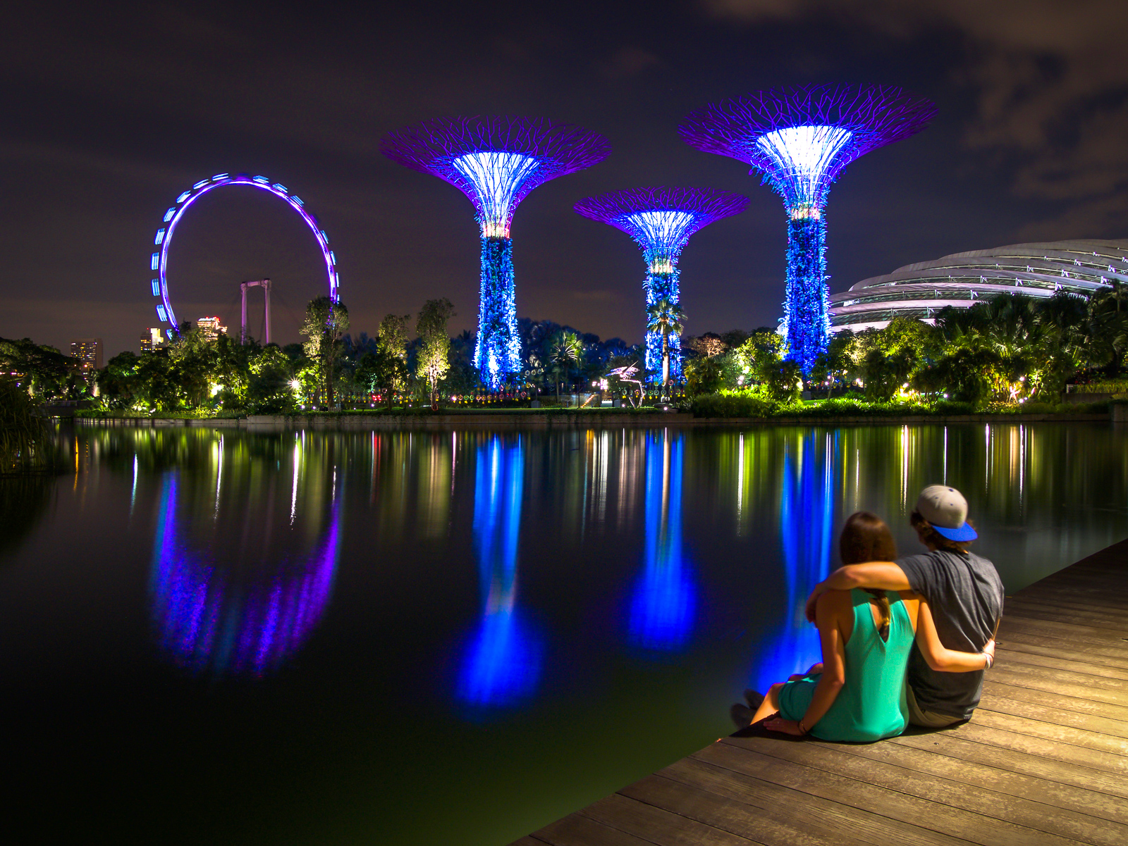 Gardens by the Bay in Singapore at night