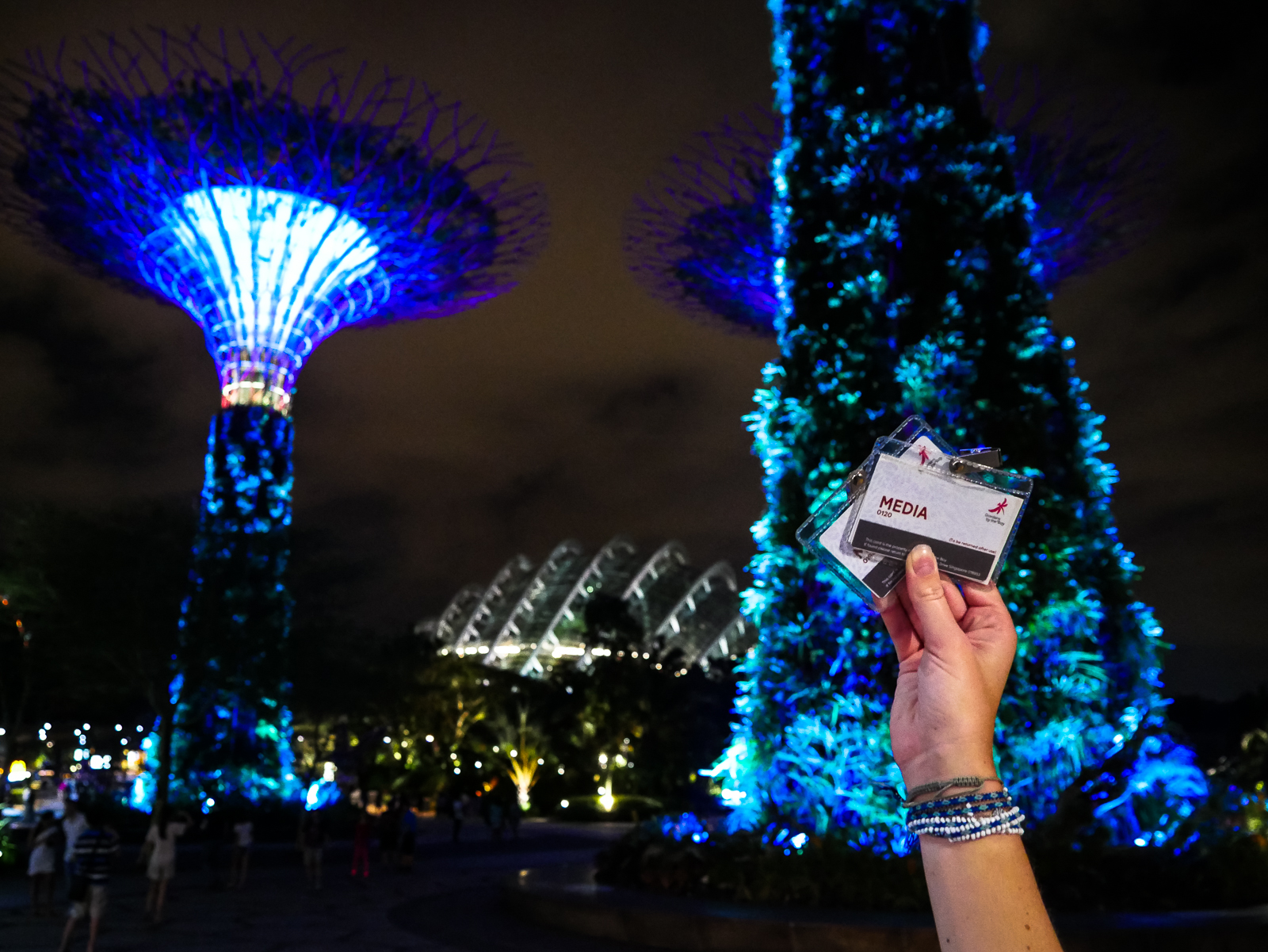 Media passes at Gardens by the Bay in Singapore at night