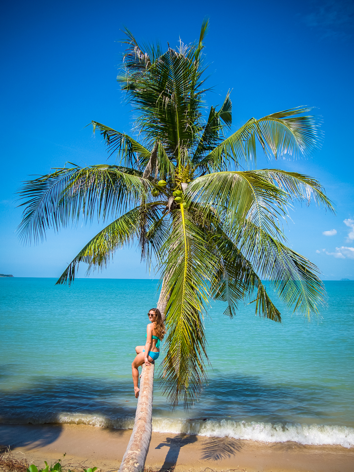 Palm tree over water in Koh Samui, Thailand
