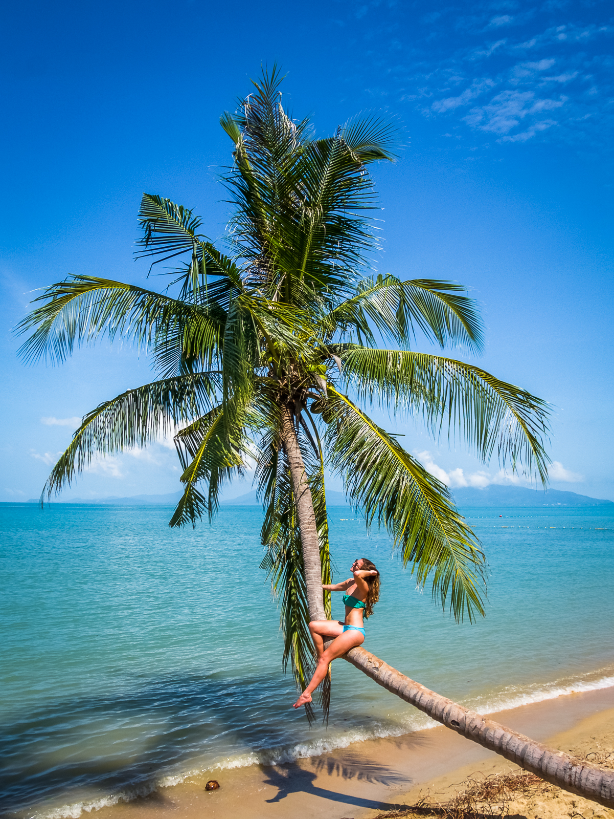 Mae Nam Beach palm tree over water